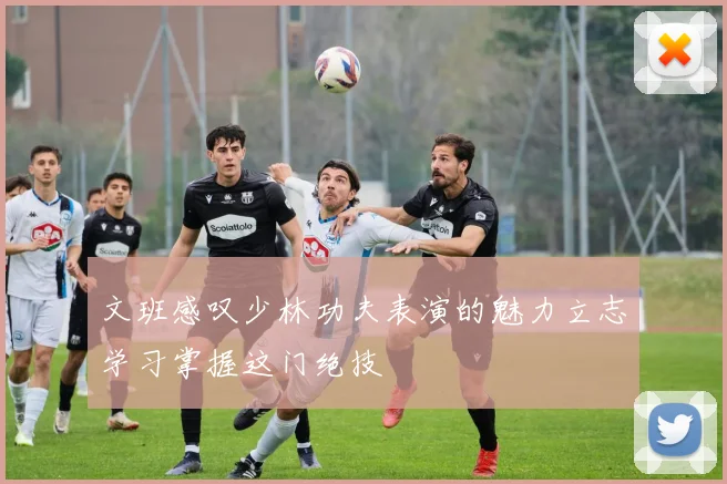 文班感叹少林功夫表演的魅力立志学习掌握这门绝技