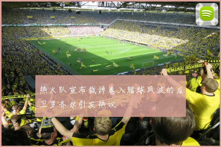 热火队宣布裁掉卷入赌球风波的后卫罗齐尔引发热议